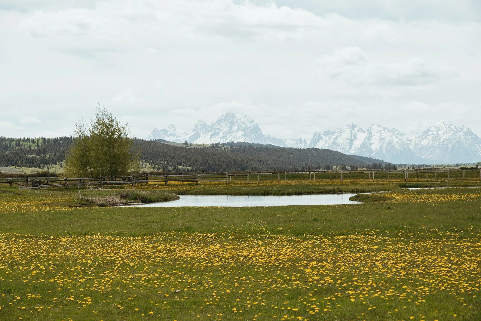  Diamond Cross Ranch in Jackson Hole 