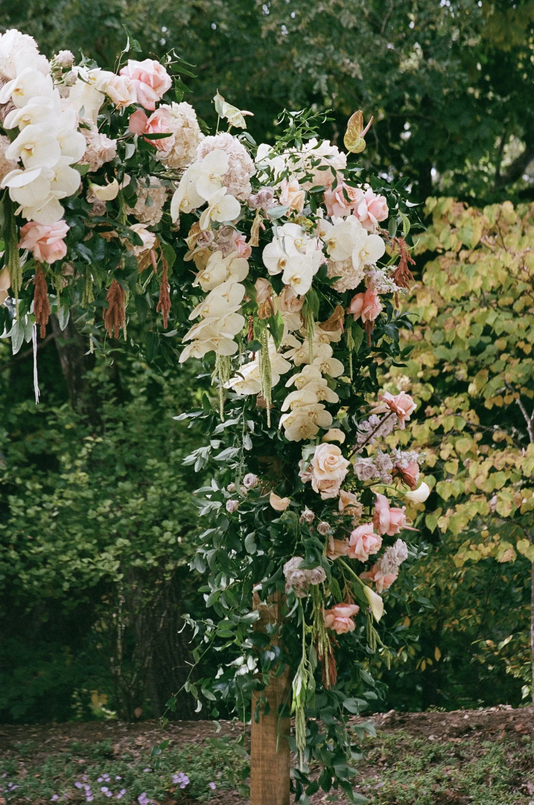 Floral arch with white orchids, pink roses, greenery, and hydrangeas in an outdoor garden setting.