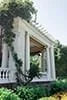 Elegant white pergola with climbing green vines and surrounding foliage, set in a sunny outdoor garden.