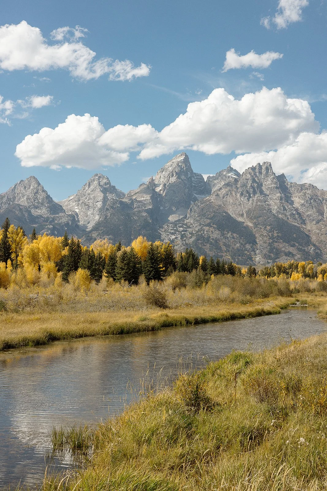 Scenic landscape of a mountain range with sharp peaks, a river in the foreground, and a forest with trees in fall colors under a partly cloudy sky.