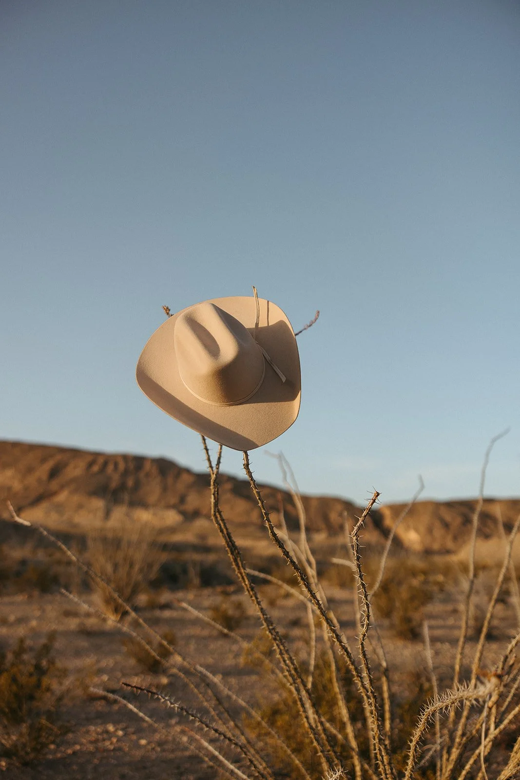 A cowboy hat resting on a cactus branch in a desert landscape at sunset.