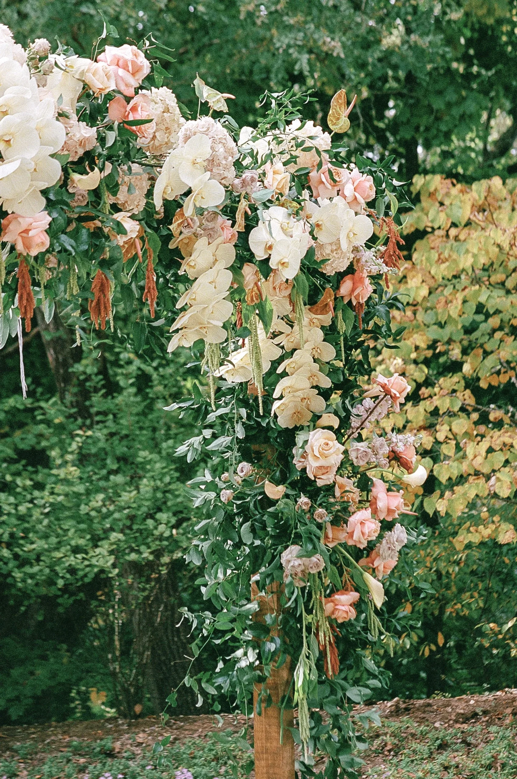 Floral wedding arch with pink, white, and cream flowers in a garden setting.