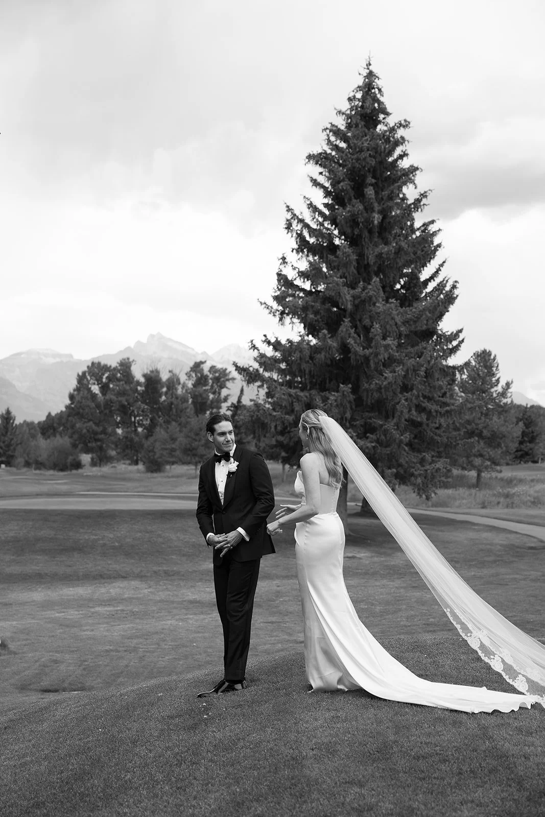 Black and white photo of a bride and groom standing on grass with a large pine tree and mountains in the background. The groom is in a tuxedo, and the bride is in a long wedding dress with a veil, holding the groom's hand and looking at him.