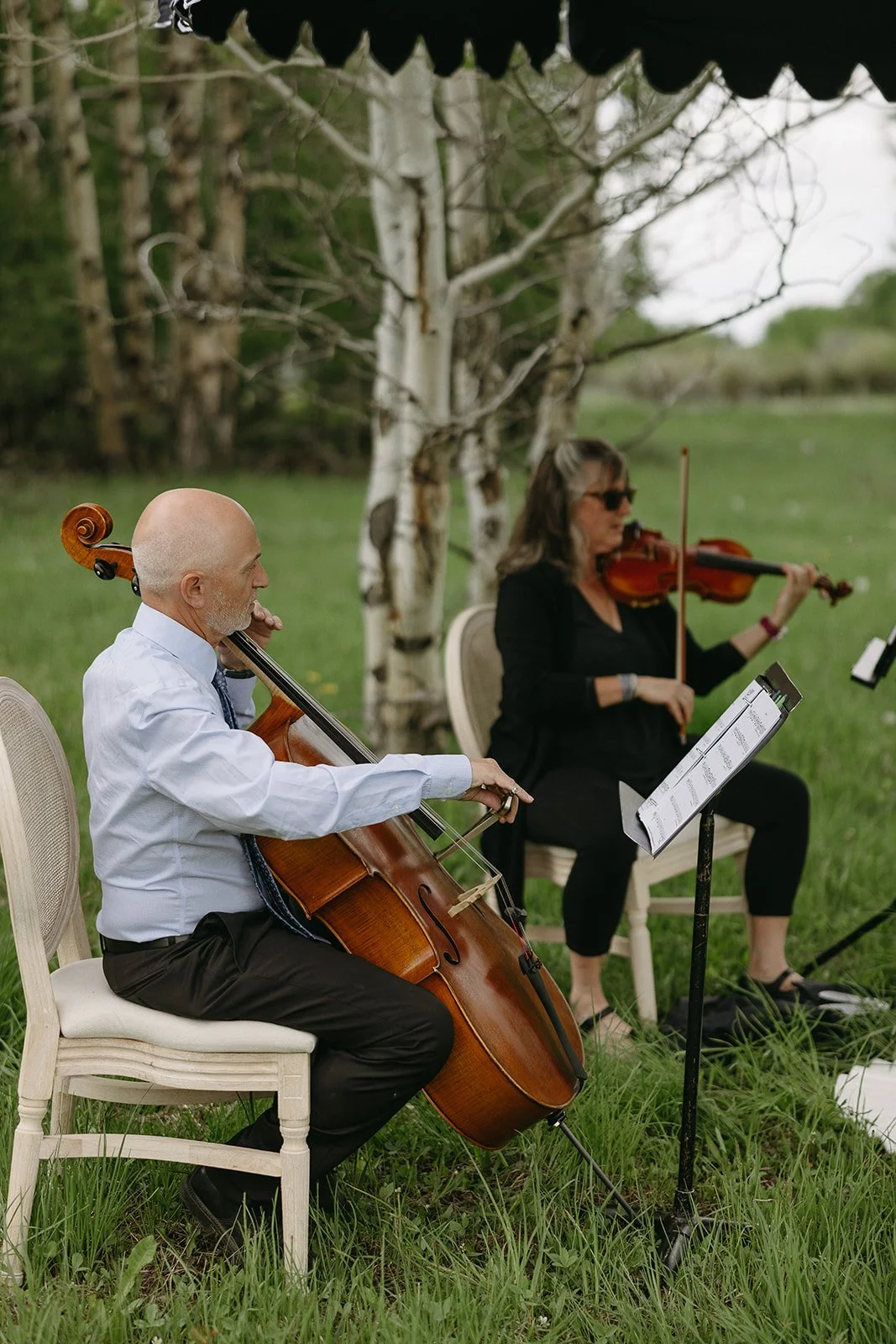 Two musicians playing string instruments outdoors, one with a cello and the other with a violin, sitting on chairs in a grassy field with trees in the background.