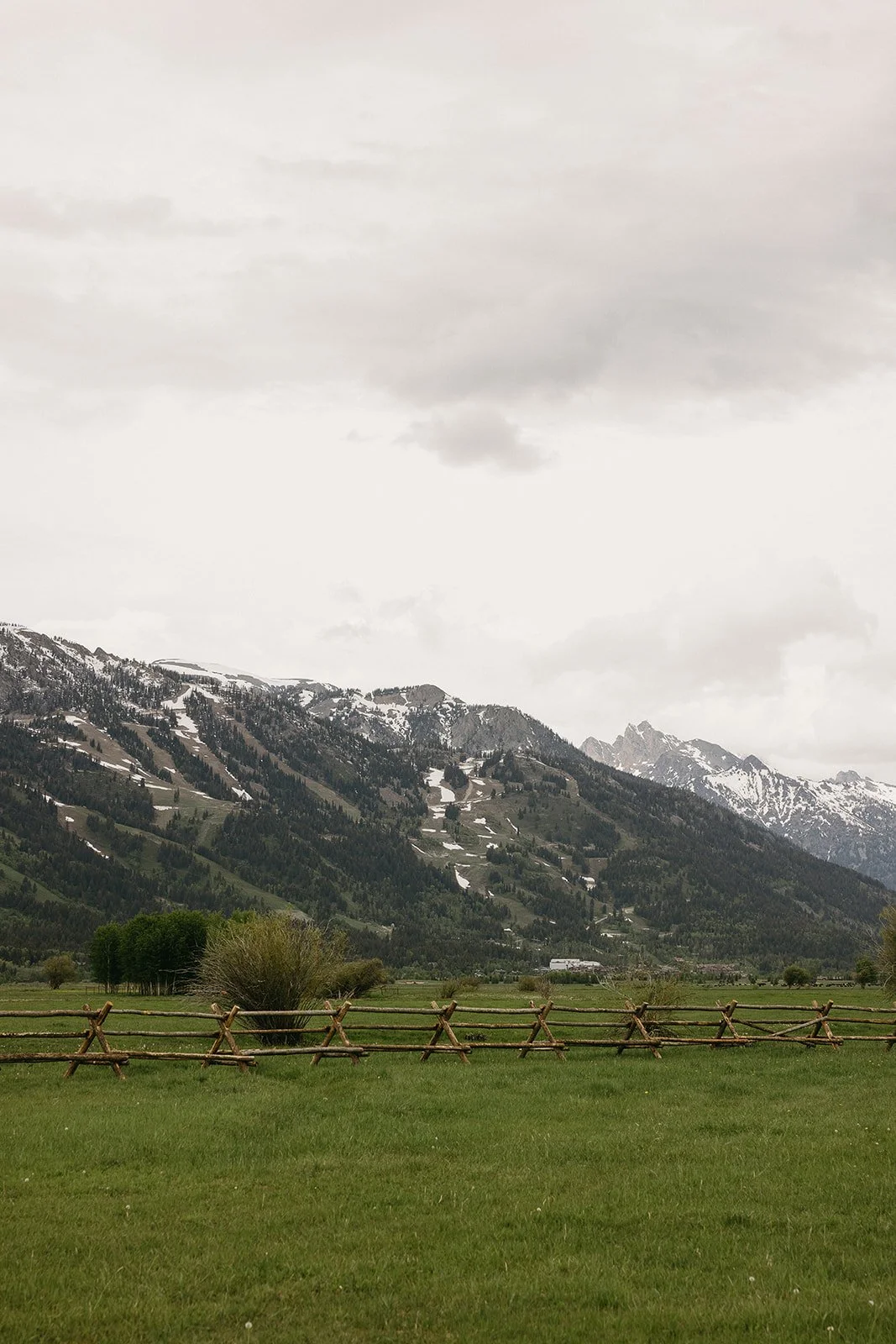 Snow-capped mountain range with a green pasture and rustic wooden fence in the foreground.